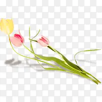 小清新水彩花卉图案-空若网 小清新水彩花卉图案-空若网