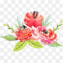 ˮ�ʻ���-������