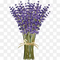 一束薰衣草-空若网 一束薰衣草-空若网