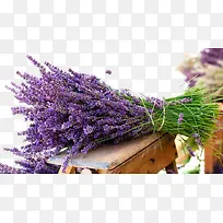 薰衣草免抠-空若网 薰衣草免抠-空若网
