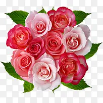 一束爱情玫瑰花-空若网 一束爱情玫瑰花-空若网