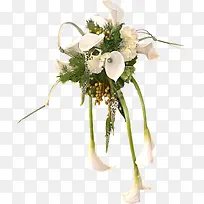 һ�����黨-������