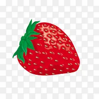 ��ͨ�ֻ��ݮ-������