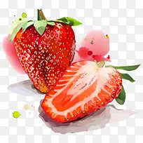 ˮ�ʺͲ�ݮ-������