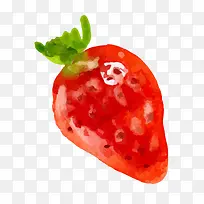 ˮ��ʸ����ݮ-������