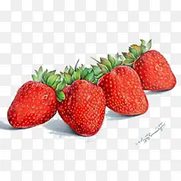 �ֻ��ݮ-������