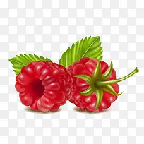 Ұ��ݮ-������