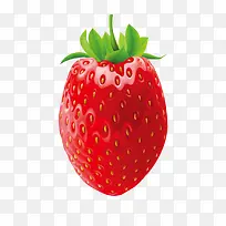 草莓-空若网 草莓-空若网