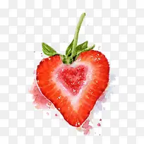 ˮ�� ��ݮ-������