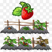 水果草莓-空若网 水果草莓-空若网