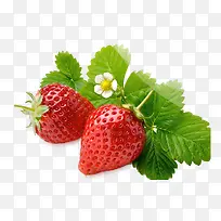 生鲜水果草莓-空若网 生鲜水果草莓-空若网