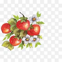 手绘草莓-空若网 手绘草莓-空若网