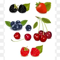 水果-空若网 水果-空若网