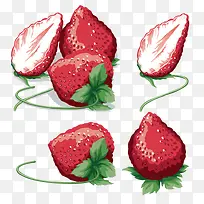 ��ͨ�ֻ�-������