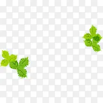 手绘草莓叶子时尚海报-空若网 手绘草莓叶子时尚海报-空若网