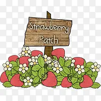 手绘草莓-空若网 手绘草莓-空若网