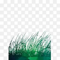 草地-空若网 草地-空若网