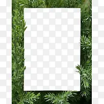 ��ɫ�ݵر߿�-������