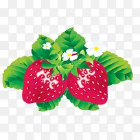 卡通草莓 卡通绿叶-空若网 卡通草莓 卡通绿叶-空若网