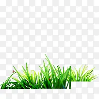 Çà²Ý-¿ÕÈôÍø Çà²Ý-¿ÕÈôÍø