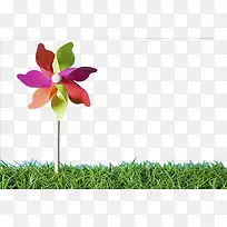 �ݵز�ɫ�糵-������