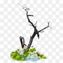 树枝-空若网 树枝-空若网