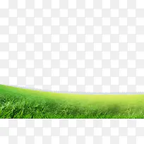 ²ÝµØ-¿ÕÈôÍø ²ÝµØ-¿ÕÈôÍø