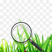 卡通草地-空若网 卡通草地-空若网