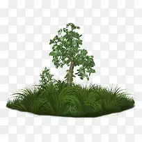 绿草树木-空若网 绿草树木-空若网