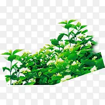 �̲�-������