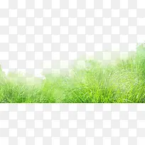 �����̲�-������