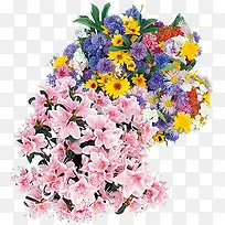 彩色花环设计礼物-空若网 彩色花环设计礼物-空若网