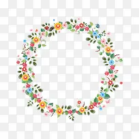 Բ�β�ɫ����-������