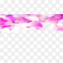 白色玫粉玫瑰花瓣-空若网 白色玫粉玫瑰花瓣-空若网