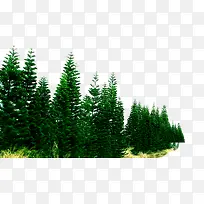 ������-������