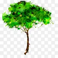 树 树木 木-空若网 树 树木 木-空若网