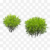 ��-������