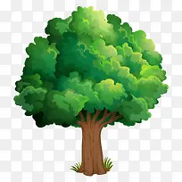 �� ��ľ-������