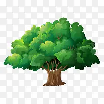 树 树木-空若网 树 树木-空若网