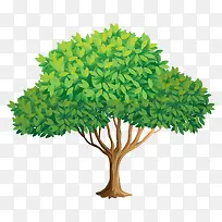 �� ��ľ-������