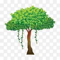 树 树木-空若网 树 树木-空若网