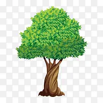 树 树木-空若网 树 树木-空若网