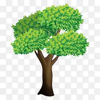 �� ��ľ-������