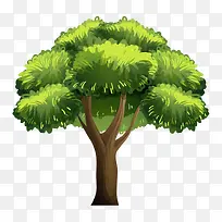 树 树木-空若网 树 树木-空若网