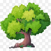 树 树木-空若网 树 树木-空若网