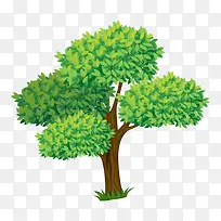 �� ��ľ-������