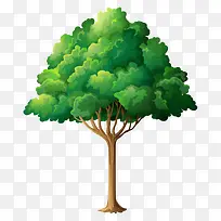 树 树木-空若网 树 树木-空若网