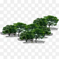 创意高清摄影绿色树林-空若网 创意高清摄影绿色树林-空若网