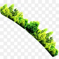 摄影高清绿色树林森林-空若网 摄影高清绿色树林森林-空若网