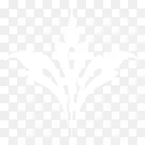 ŷʽ���ƻ����ز�-������